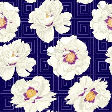 Peony flowers.. Stock Illustration