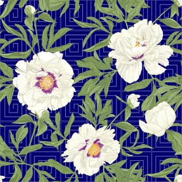 Peony flowers.. Stock Illustration
