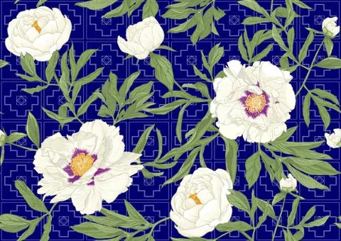 Peony flowers.. Stock Illustration