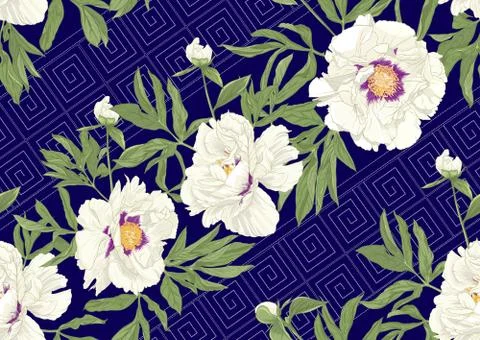 Peony flowers.. Stock Illustration