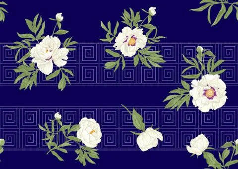 Peony flowers.. Stock Illustration