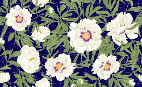 Peony flowers.. Stock Illustration