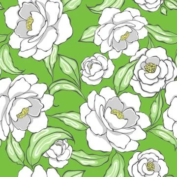 Peony flowers seamless pattern Stock Illustration