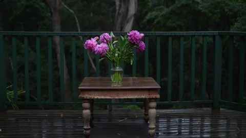 Peony flowers in a vase on the table under the rain. Stock Footage 133619901