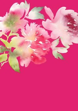 Peony greeting card Stock Illustration