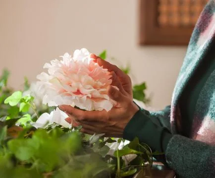 Peony in hand Stock Photos