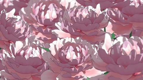 Peony loop background horisontal 4k Vídeos de archivo 335020463