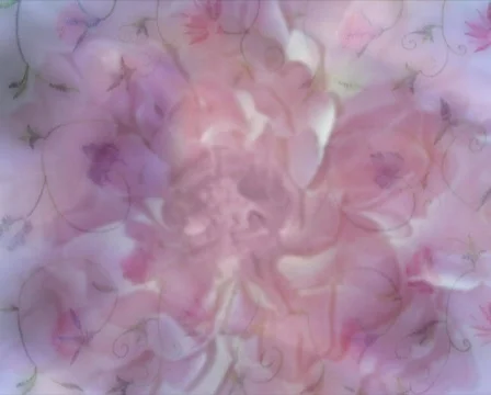 Peony p 스톡 동영상 611380