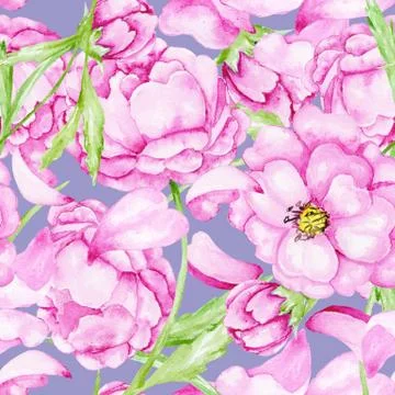 Peony pattern Stock Illustration