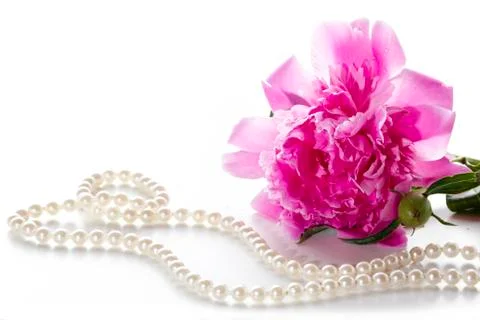 Peony Stock Photos