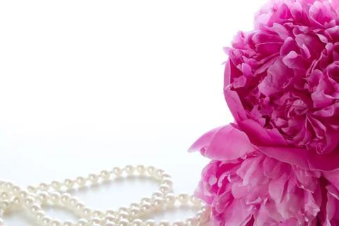 Peony Stock Photos