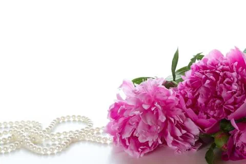Peony Stock Photos