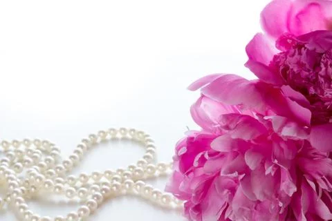 Peony Stock Photos