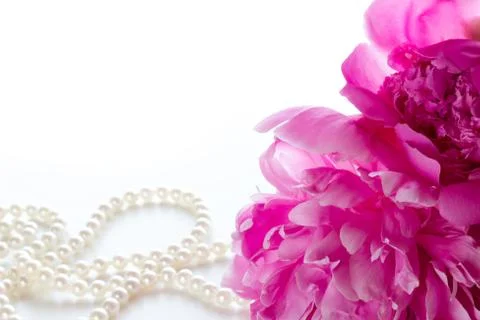 Peony Stock Photos