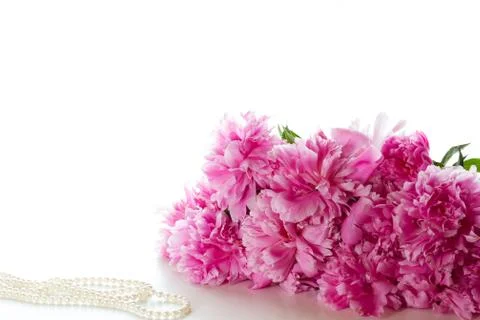Peony Stock Photos