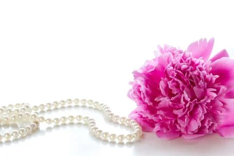 Peony Stock Photos