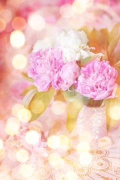 Peony Stock Photos