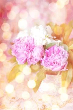 Peony Stock Photos