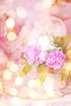 Peony Stock Photos