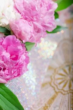 Peony Stock Photos