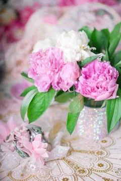 Peony Stock Photos