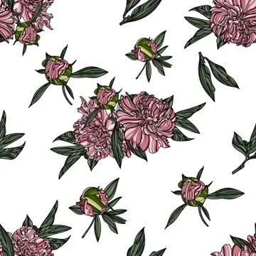 Peony seamless pattern Stock Illustration