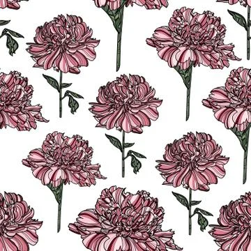 Peony seamless pattern Stock Illustration