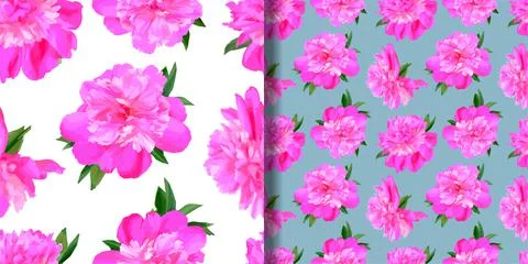 Peony Seamless Patterns set. Flowers backgrounds collection Stock Illustration