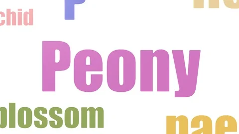 Peony Tag Cloud Animated Isolated On White Stock Footage 107205093