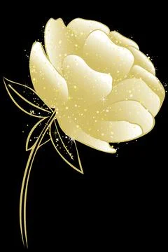 Peony, vector. Lush single peony rose. Gold plant on a black background. Stock Illustration