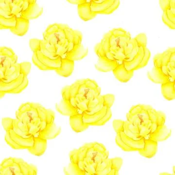 Peony on white background. Seamless pattern. Watercolor painting of Beautiful Illustrazione stock