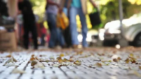 People 008 Stock Footage 18101640
