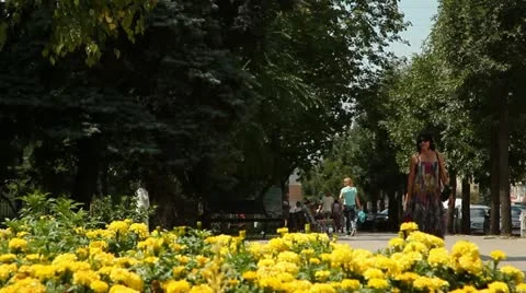 People 014 Stock Footage 22438909