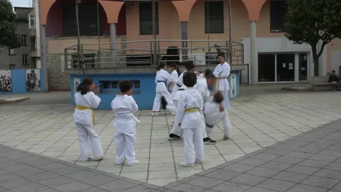 People of all ages playing Nihon Tai Jitsu Stock Footage 219237936