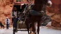 People and horse with cart in gorge that leads to Red Rose City Of Petra, Jordan HD Footage