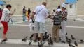 People and pigeons near Parliament and Syntagma Square in Athens, Greece HD Footage