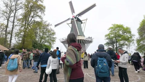 People and windmill Video stock 313563882
