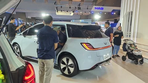 People are checking out electric vehicle Stock Footage 274855023