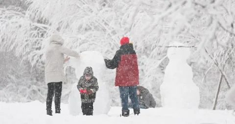 People are fun in magical forest, family builds snowmen Video stock 327936667