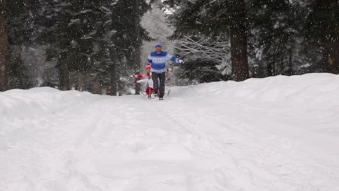 People are having fun outdoors in winter forest. A family rides a sleigh in.. Stock-Footage 345936807