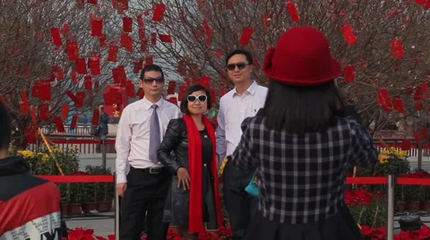 People are photographed against the background of a tree chinese new year Video stock 59134306