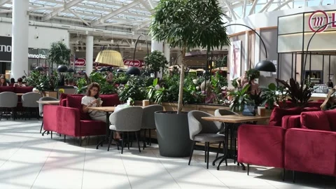 People are sitting in a cafe.  Stock Footage 282506599