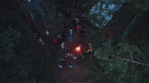 People are sitting in the forest by the fire 스톡 동영상 201427493