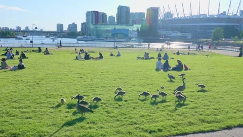 People are sitting in groups by the Science World, Vancouver, Canada, May 2021 Stock Footage 155082771