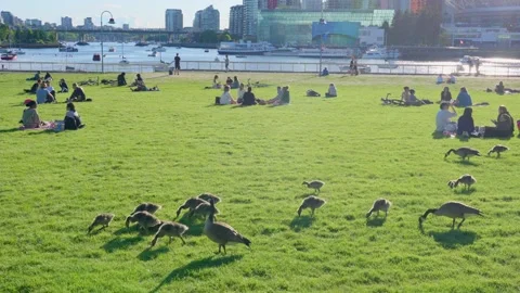 People are sitting in groups by the Science World, Vancouver, Canada, May 2021 Stock Footage 155082916