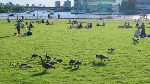 People are sitting in groups by the Science World, Vancouver, Canada, May 2021 Stock Footage 155082974