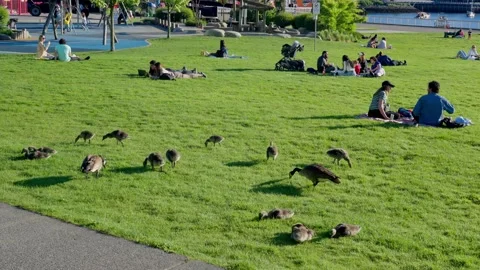 People are sitting in groups by the Science World, Vancouver, Canada, May 2021 Stock Footage 155082998