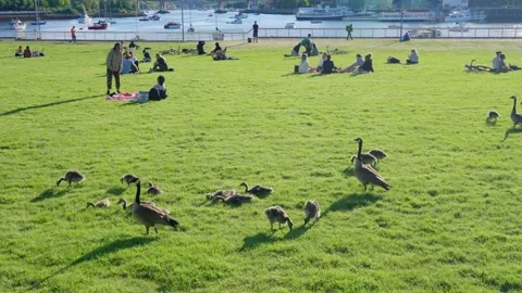 People are sitting in groups by the Science World, Vancouver, Canada, May 2021 Stock Footage 155083020