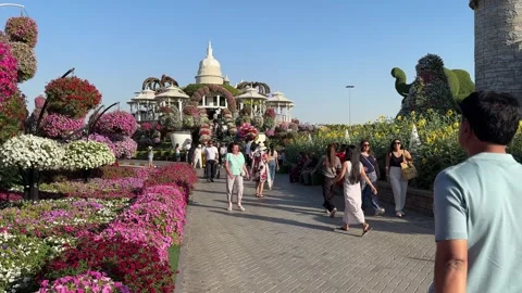 People are strolling in Dubai Miracle Garden. Dubai UAE 5 March 2026. Stock Footage 345456556