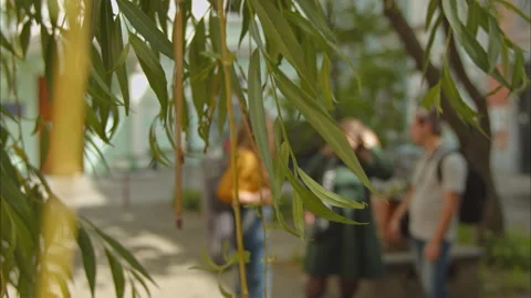 People are talking in a park in defocus, in the foreground willow branches Stock-Footage 198713061